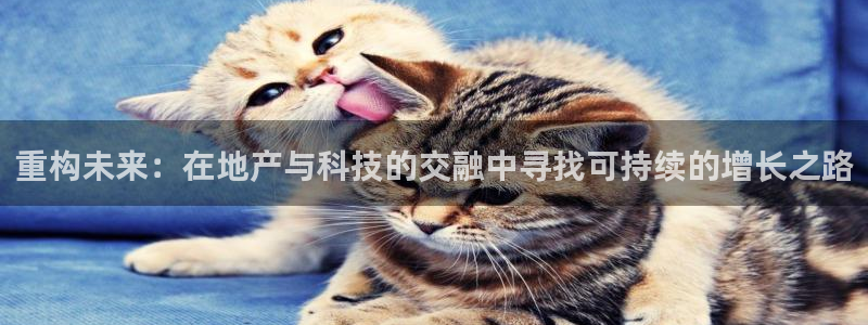 天狮源娱乐平台注册：重构未来：在地产与科技的交融中寻找可持续