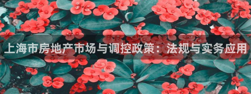 天狮娱乐557448：上海市房地产市场与调控政策：法规与实务