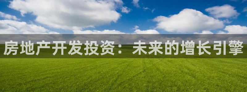 天狮娱乐返点：房地产开发投资：未来的增长引擎