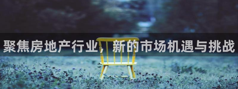 天狮娱乐负责人是：聚焦房地产行业，新的市场机遇与挑战
