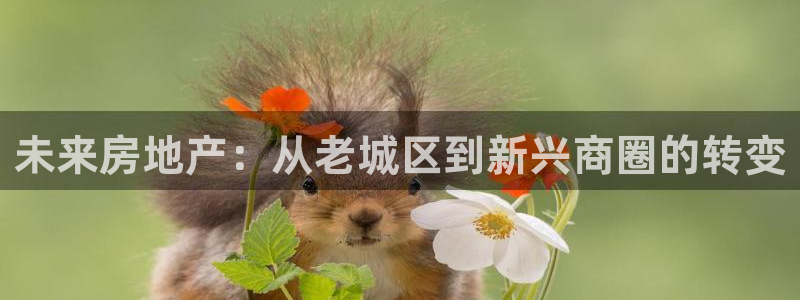 天狮娱乐股东待遇：未来房地产：从老城区到新兴商圈的转变
