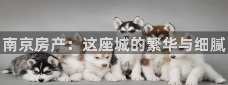 天狮娱乐彩票怎么样：南京房产：这座城的繁华与细腻