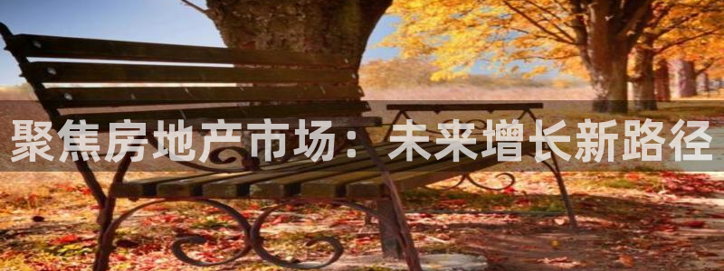 天狮娱乐主管82104：聚焦房地产市场：未来增长新路径