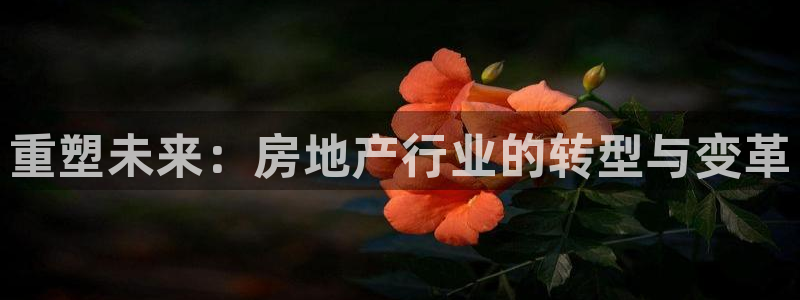 天狮娱乐招：重塑未来：房地产行业的转型与变革