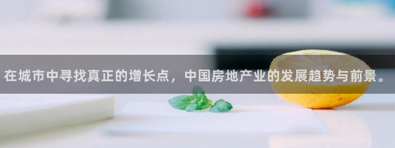 龙湖苏州狮山天街娱乐：在城市中寻找真正的增长点，中国房地产业