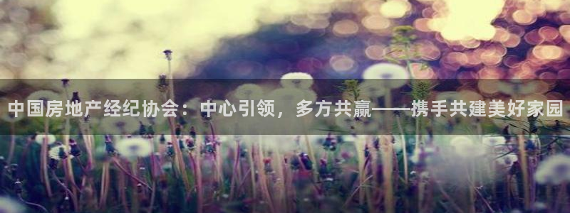 天狮娱乐电脑版：中国房地产经纪协会：中心引领，多方共赢——携