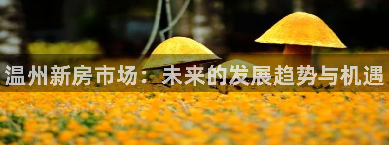 蓝狮娱乐注册天原判官333OO：温州新房市场：未来的发展趋势