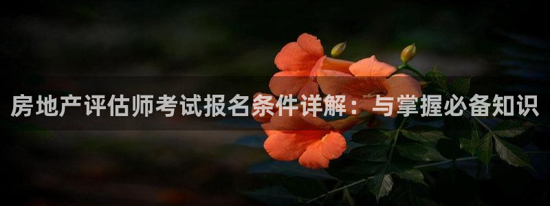 天狮娱乐登：房地产评估师考试报名条件详解：与掌握必备知识