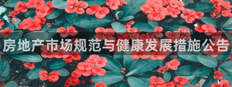天狮娱乐 82104直招q：房地产市场规范与健康发展措施公告