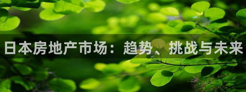 天狮娱乐30j判官333OO：日本房地产市场：趋势、挑战与未