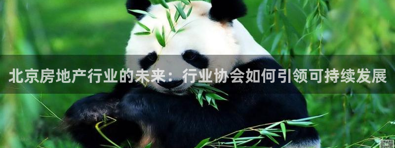 天狮娱乐33673 q实力：北京房地产行业的未来：行业协会如