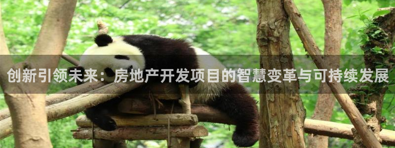 天狮娱乐指尖年：创新引领未来：房地产开发项目的智慧变革与可持