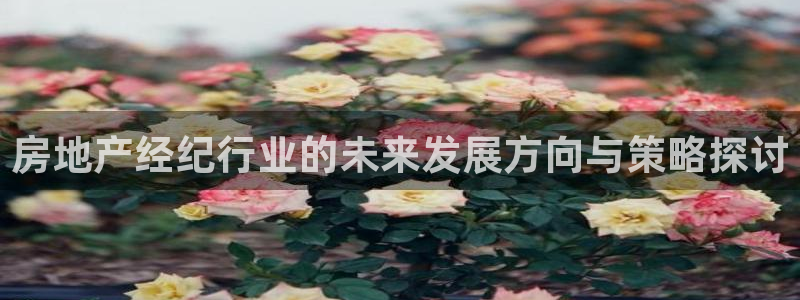 天狮娱乐注册平台官网：房地产经纪行业的未来发展方向与策略探讨