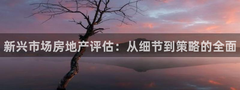 天狮娱乐待遇：新兴市场房地产评估：从细节到策略的全面