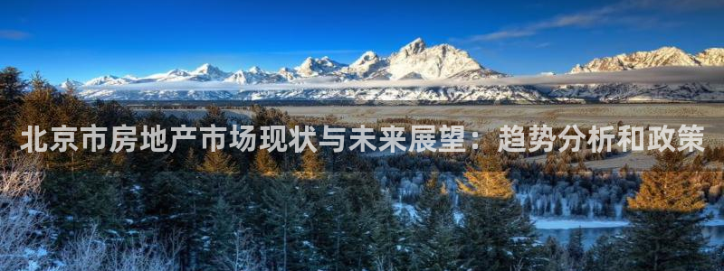 天狮娱乐app下载：北京市房地产市场现状与未来展望：趋势分析