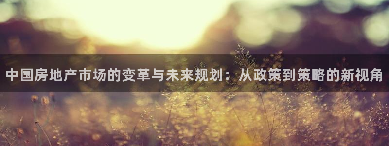 天狮娱乐 股31661东r：中国房地产市场的变革与未来规划：