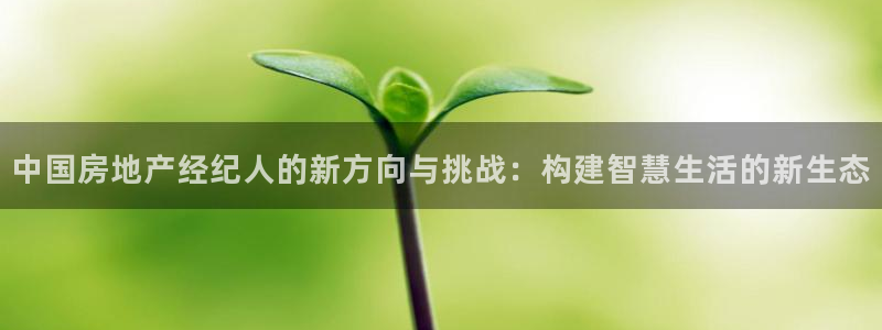 天狮娱乐主管q42862s：中国房地产经纪人的新方向与挑战：