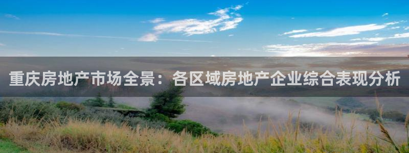 天狮娱乐网站：重庆房地产市场全景：各区域房地产企业综合表现分