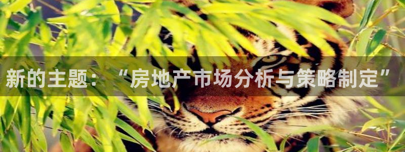 天狮娱乐怎么玩法：新的主题：“房地产市场分析与策略制定”