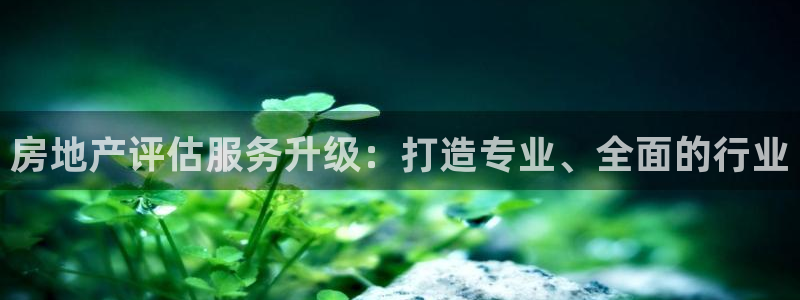 天狮娱乐q 找108306：房地产评估服务升级：打造专业、全
