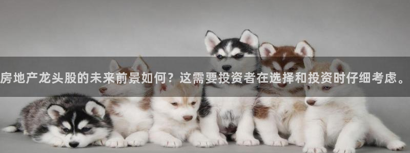 天狮娱乐e招d商98732