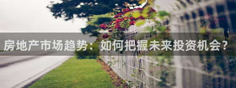 天狮娱乐 b内部61166：房地产市场趋势：如何把握未来投资