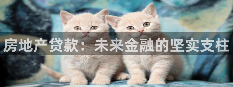天狮娱乐注册登陆：房地产贷款：未来金融的坚实支柱