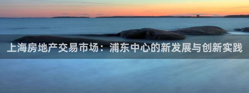 天狮娱乐炔wx15 net：上海房地产交易市场：浦东中心的新