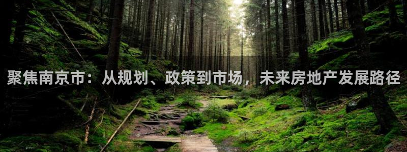 天狮yl娱乐：聚焦南京市：从规划、政策到市场，未来房地产发展