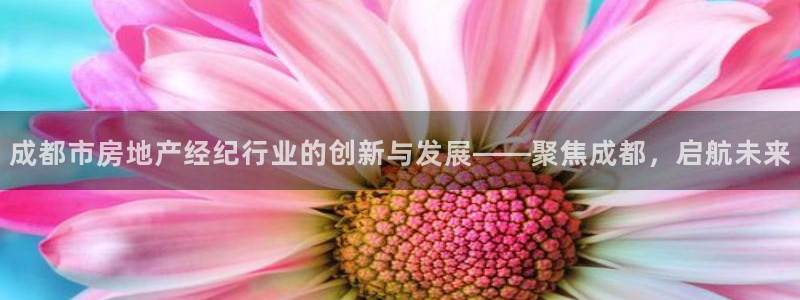 天狮娱乐 官方注册主管：成都市房地产经纪行业的创新与发展——
