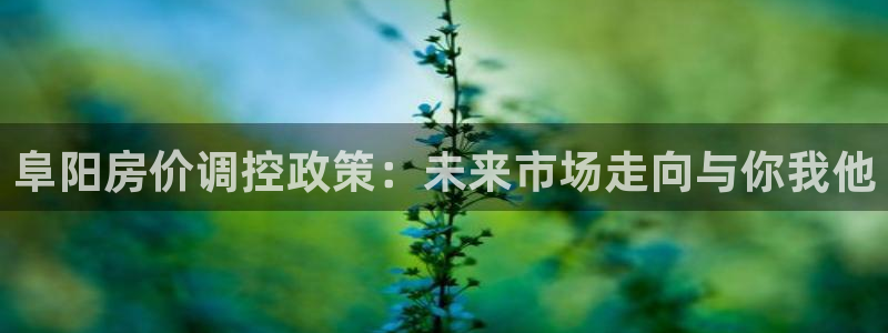 天狮娱乐股东待遇：阜阳房价调控政策：未来市场走向与你我他