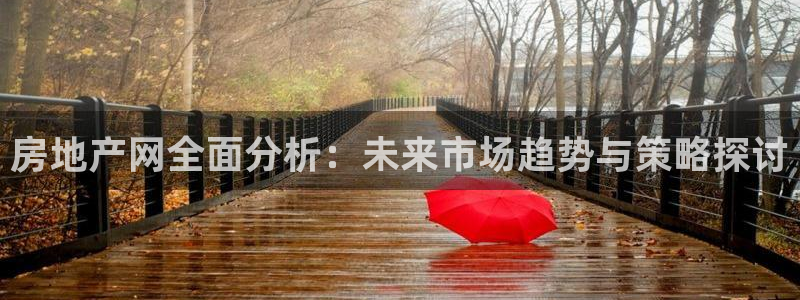 天狮娱乐主管191166薇星h：房地产网全面分析：未来市场趋