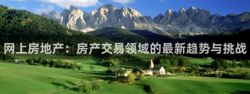 天狮娱乐注册开户：网上房地产：房产交易领域的最新趋势与挑战