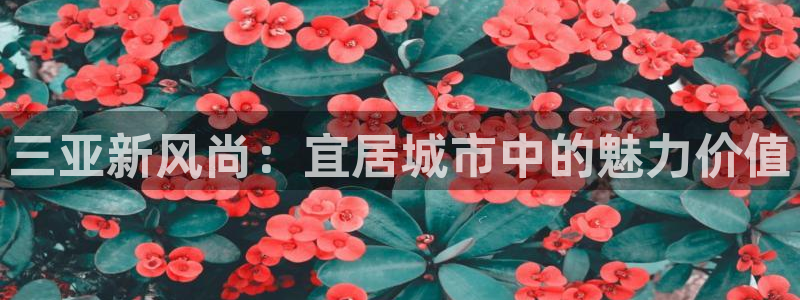 天狮娱乐湫333 00
